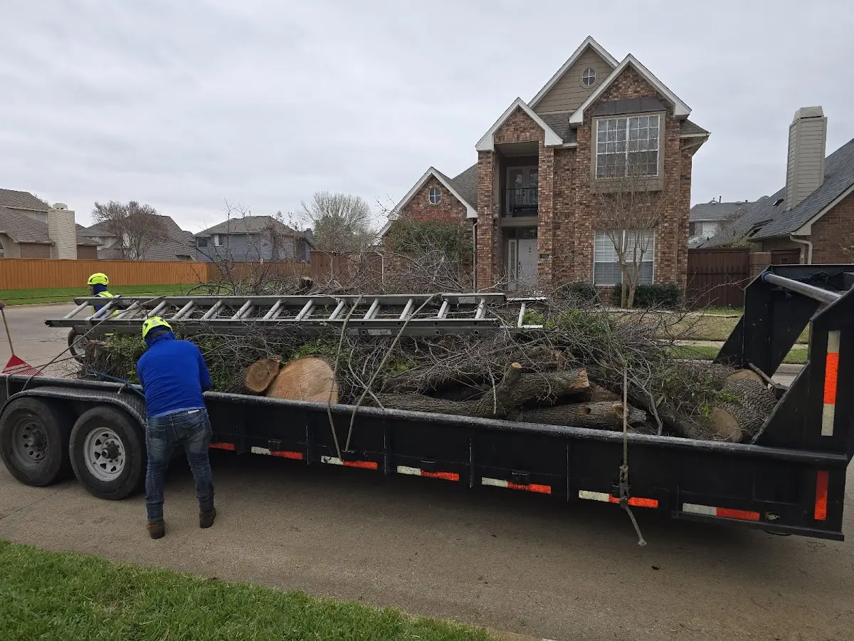 Expert Crown Reduction with proper safety equipment in Murphysboro